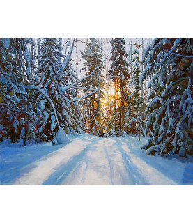 Картина за номерами 40x50...