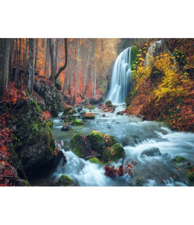 Картина за номерами 40x50...