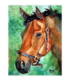 Картина за номерами 40x50...