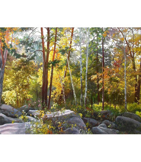 Картина за номерами 40x50...