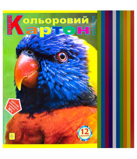 Кольоровий картон А4 12...